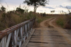 Brücke Nationalpark Afrika